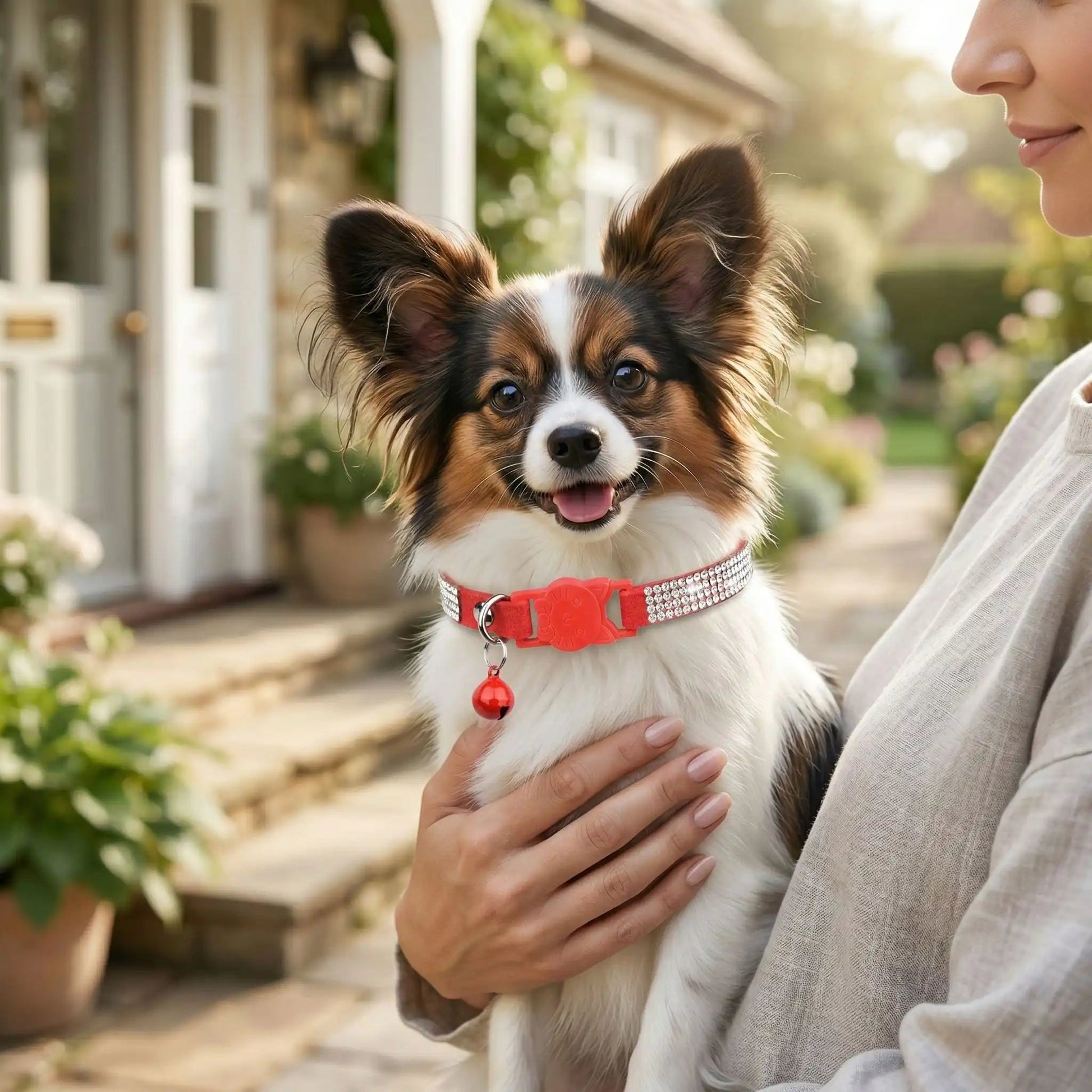 Collier chien chic diamant rouge race papillon