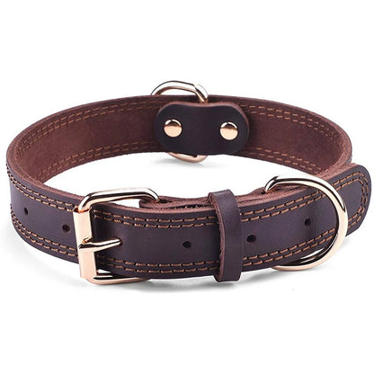 Collier chien cuir | Durable et fonctionnel