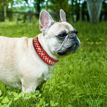Collier chien cuir rivets anti-morsure bouledogue francais rouge
