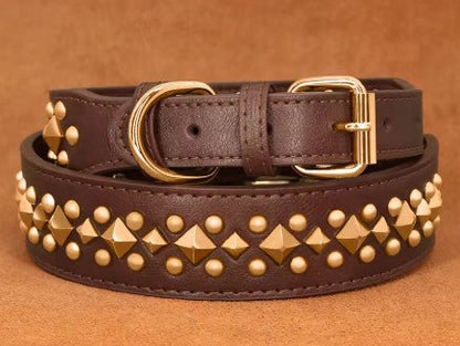 Collier chien cuir rivets anti-morsure démo