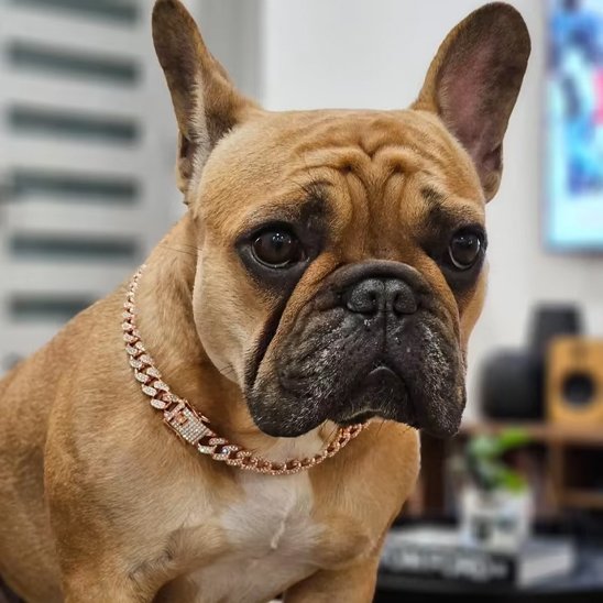Collier chien diamant métal or rose chien