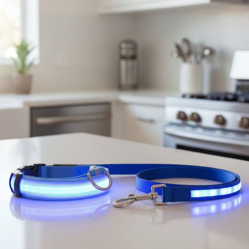 Collier chien lumineux led anti-perte bleu modèle allume