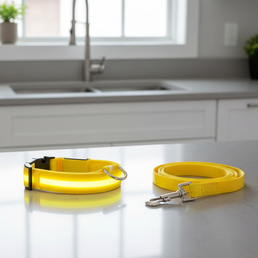 Collier chien lumineux led anti-perte jaune modèle allume