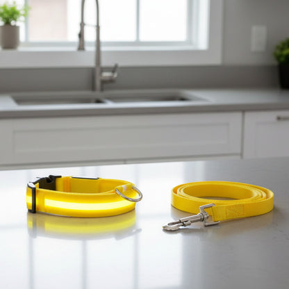 Collier chien lumineux led anti-perte jaune modèle allume