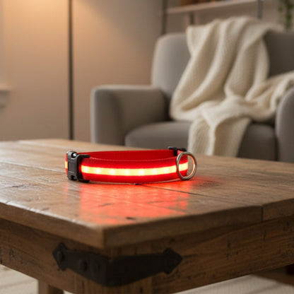 Collier chien lumineux | LED anti-perte rouge et vert