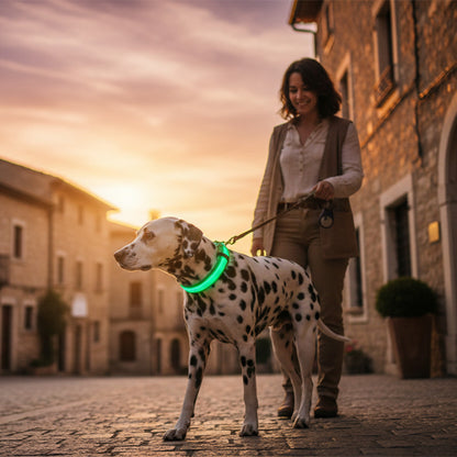 Collier chien lumineux | LED anti-perte rouge et vert