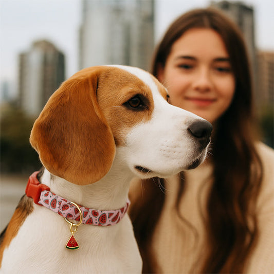 Collier chien motif fruit tropicaux chien et adolescente