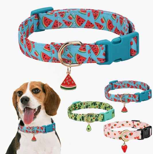 Collier chien | Motif de fruits juteux
