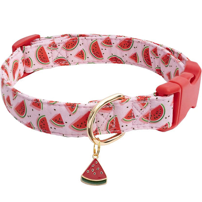 Collier chien | Motif de fruits tropicaux