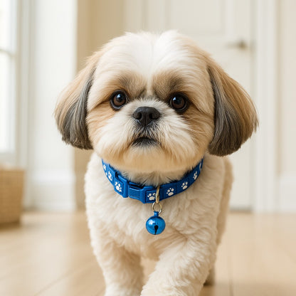 Collier chien | motif pattes de chien