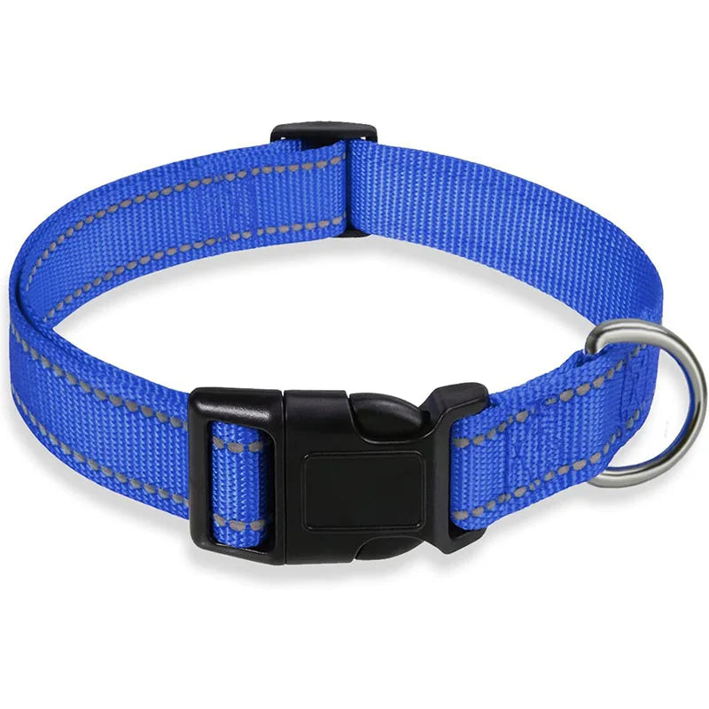 Collier chien | Sécuritaire et réfléchissant (couleurs foncées)