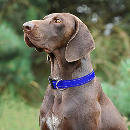 Collier chien | Sécuritaire et réfléchissant (couleurs foncées)