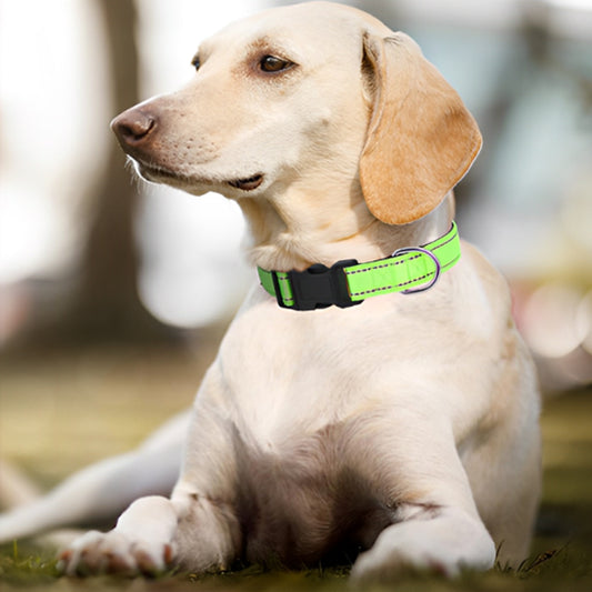 Collier chien | Sécuritaire et réfléchissant (couleurs pâles)