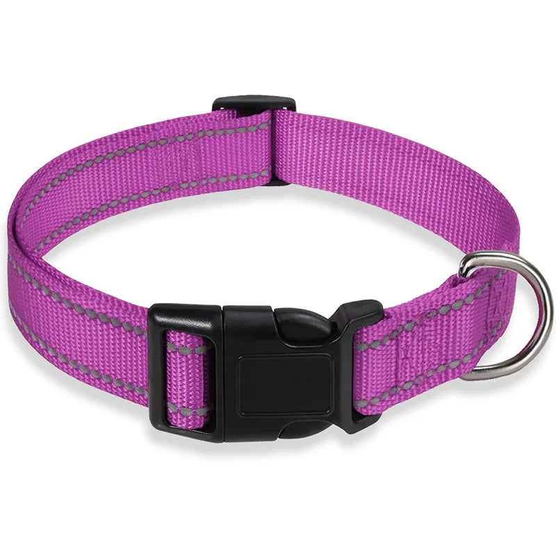 Collier chien | Sécuritaire et réfléchissant (couleurs foncées)