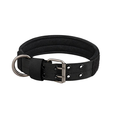 Collier chien | tactique et durable
