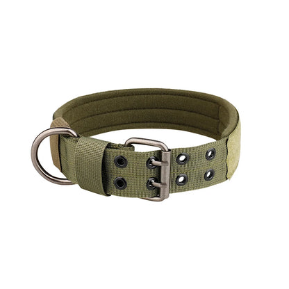 Collier chien | tactique et durable