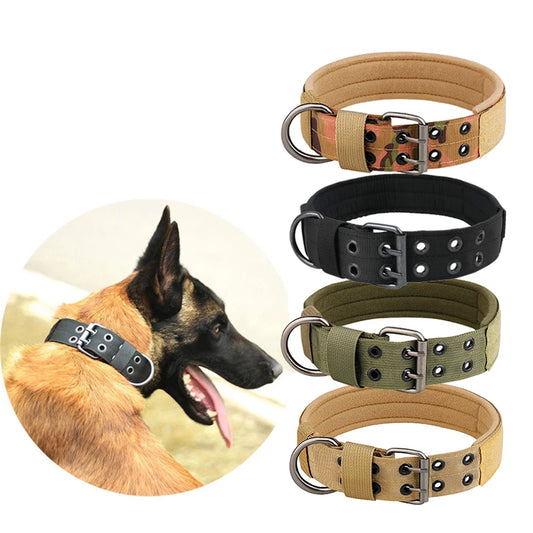 Collier chien | tactique et durable