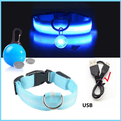 Collier lumineux chien pendentif bleu USB