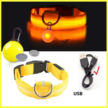Collier lumineux pour chien | Pendentif bleu et jaune