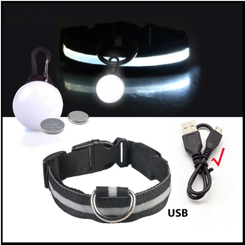 Collier lumineux chien pendentif noir USB