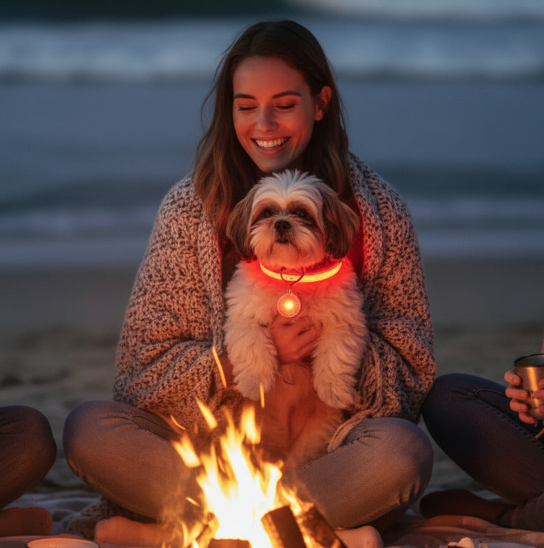 Collier lumineux pour chien | Pendentif rouge et vert