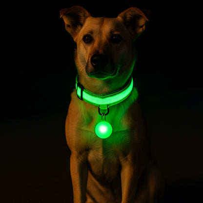 Collier lumineux pour chien | Pendentif rouge et vert