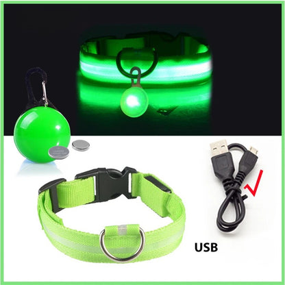 Collier lumineux pour chien | Pendentif rouge et vert