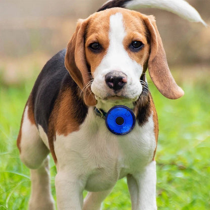 Collier chien lumineux | lampe de poche