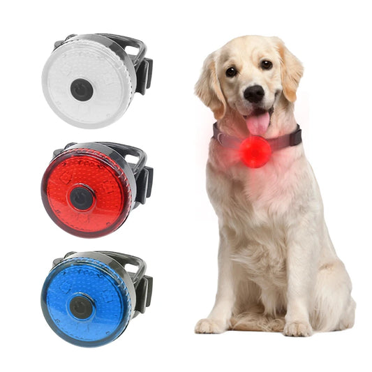 Collier chien lumineux | lampe de poche (lots)