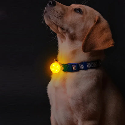 Collier chien lumineux | lampe pendentif