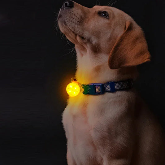 Collier chien lumineux | lampe pendentif