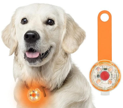 Collier chien lumineux pendentif golden orange