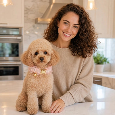collier petit chien dentelle clochette caniche rose