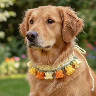 collier pour chien tricoté fleurs golden jaune orange