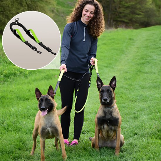 Double laisse pour chien Poignée rembourrée démo vert malinois