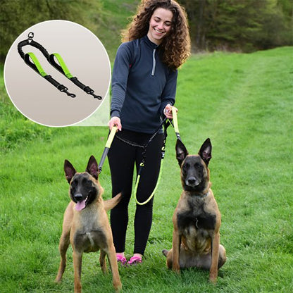 Double laisse pour chien Poignée rembourrée démo vert malinois