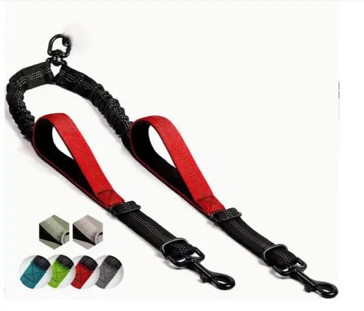 Double laisse pour chien Poignée rembourrée démo rouge