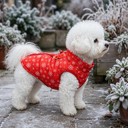 Bichon frisé portant la doudoune pour chien rouge à motif flocon sur le patio givré
