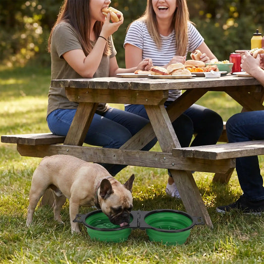 Gamelle chien | 2-en-1 portable - vert et rouge
