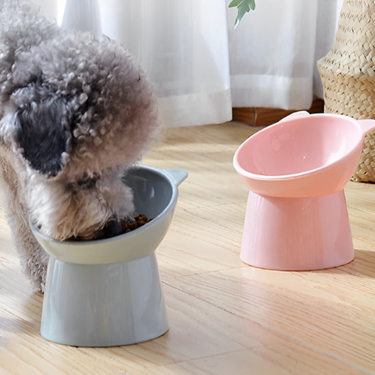 Gamelle chien bol incliné bleu rose