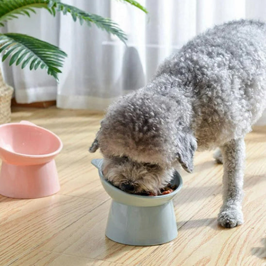 Gamelle chien bol incliné caniche gris bleu
