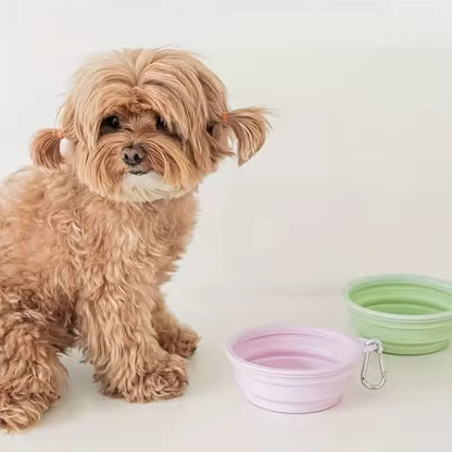 gamelle pour chien transport facile modèle rose et vert
