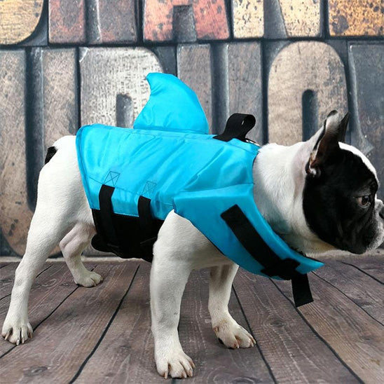 Gilet de sauvetage chien aide nez plat bouledogue bleu profil