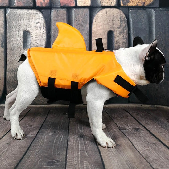 Gilet de sauvetage chien aide nez plat bouledogue orange profil
