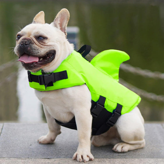 Gilet de sauvetage chien aide nez plat bouledogue vert