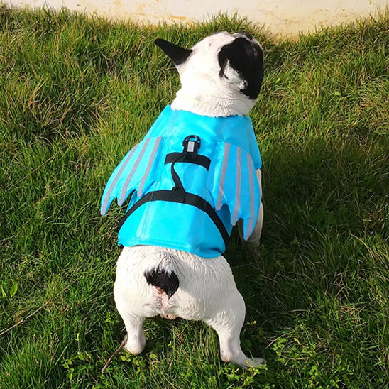 Gilet de sauvetage chien ailes ange boston terrier bleu dos