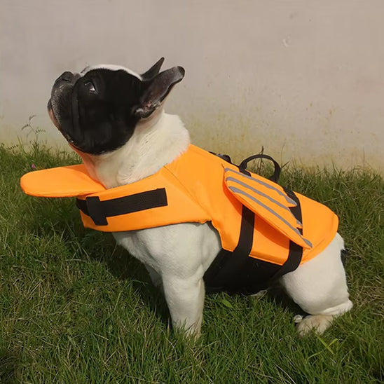 Gilet de sauvetage chien ailes ange boston terrier orange profil