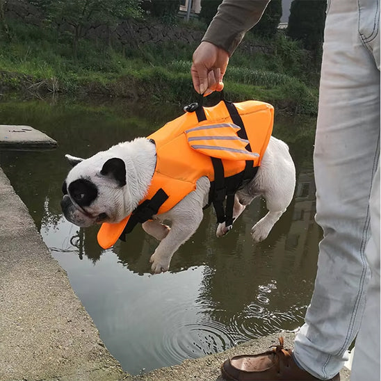 Gilet de sauvetage chien ailes ange bouledogue quai orange