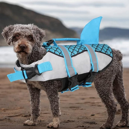 Gilet de sauvetage chien écailles requin barbet bleu