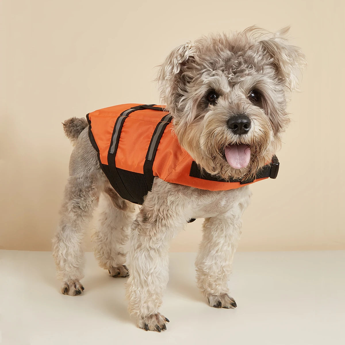 Gilet de sauvetage chien surf plage orange demo